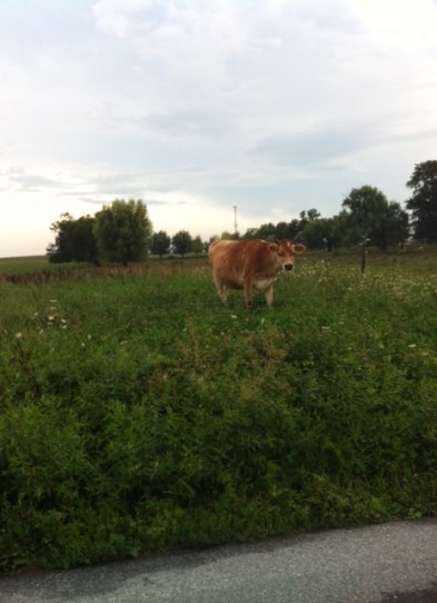 6ba6e890-7551-43c5-83d9-e00f82066dcf